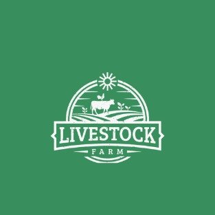 WhatsApp Image 2026-02-16 at 13.46.43 (1)