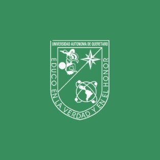 WhatsApp Image 2026-02-16 at 13.46.44 (1)