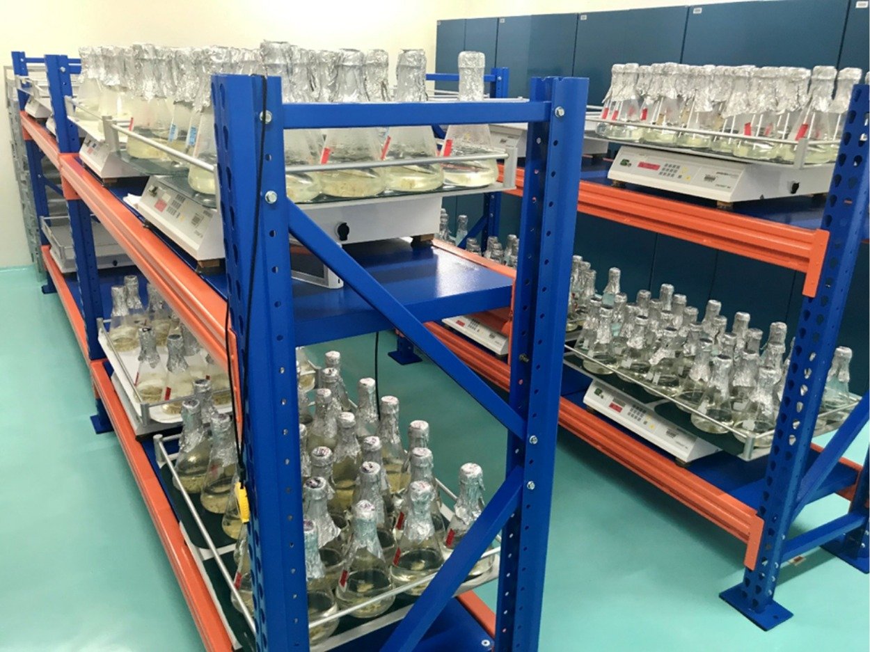 WhatsApp Image 2026-02-24 at 12.51.48 AM (1)