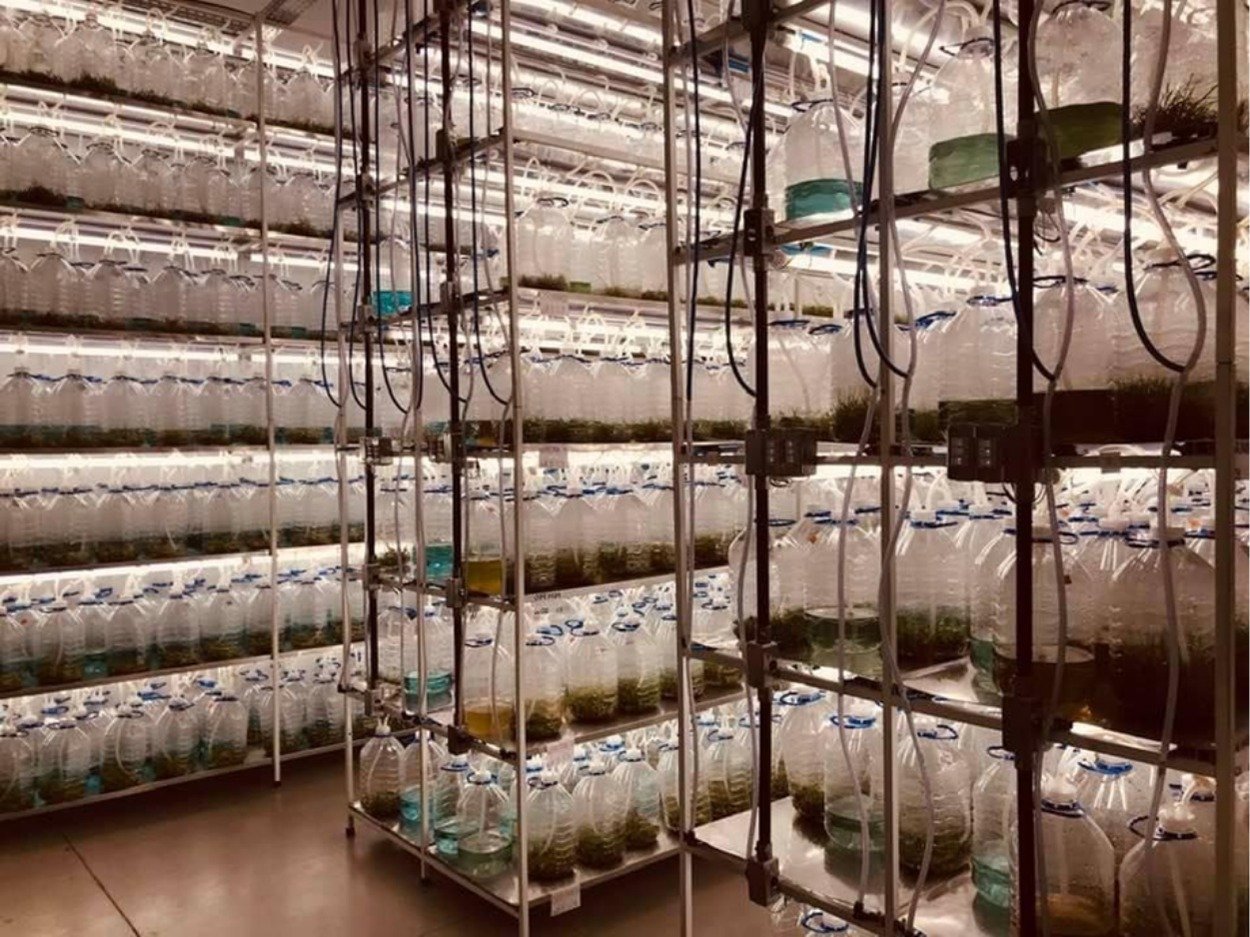 WhatsApp Image 2026-02-24 at 12.51.48 AM (3)