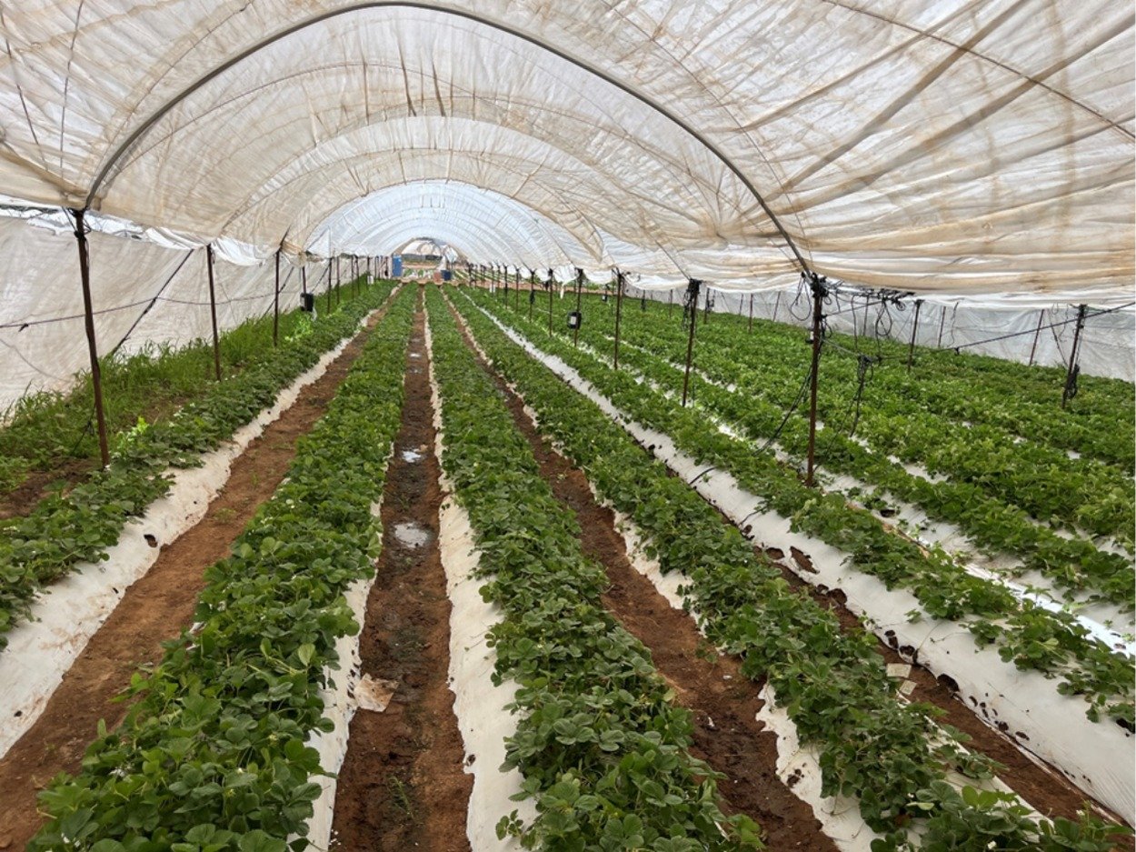 WhatsApp Image 2026-02-24 at 12.51.55 AM